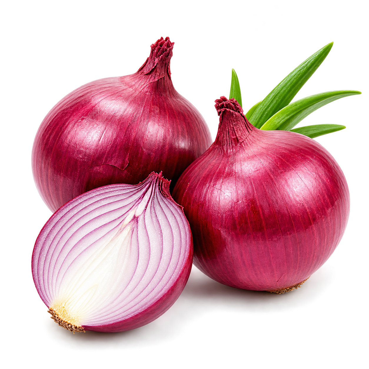 Onion