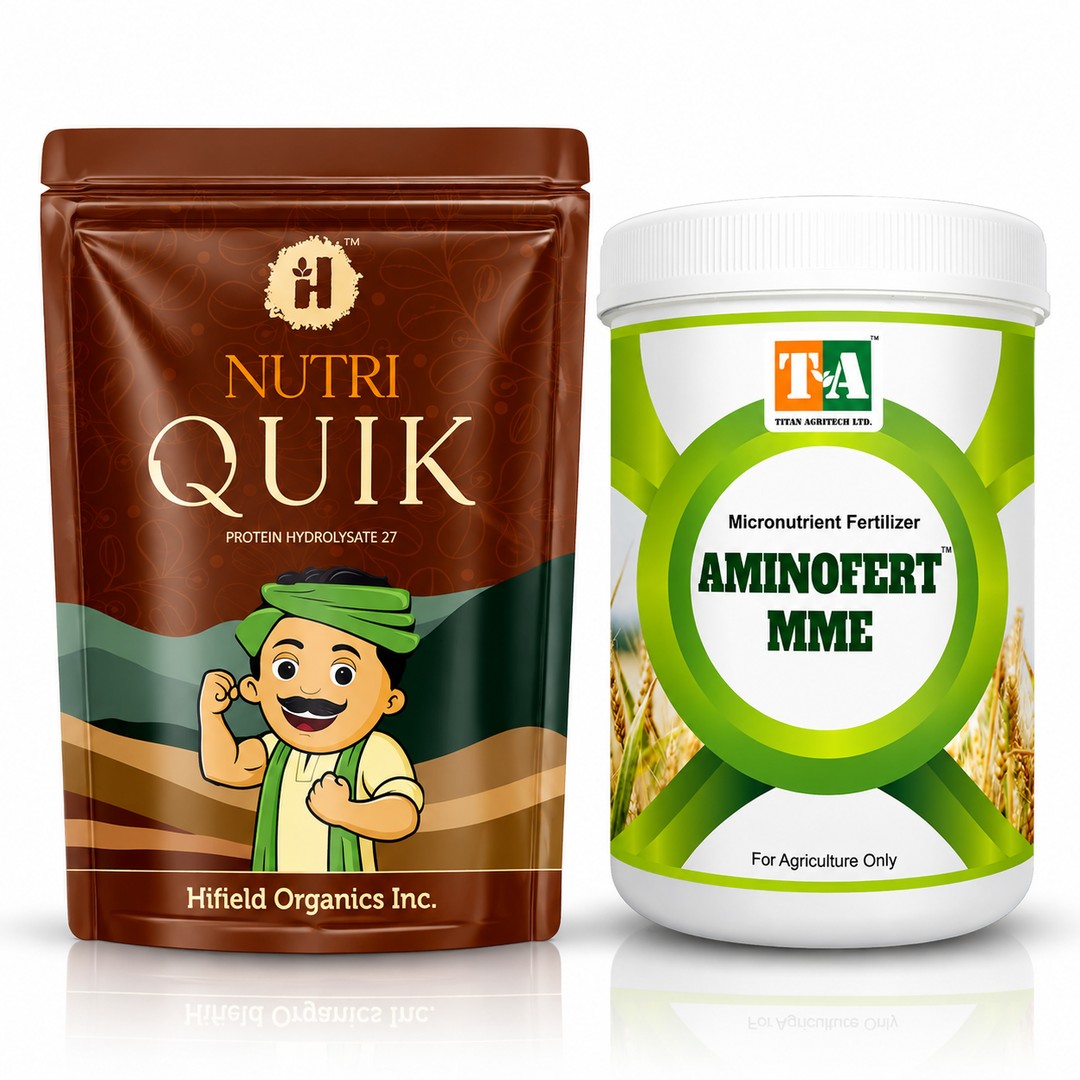 Amino Acid