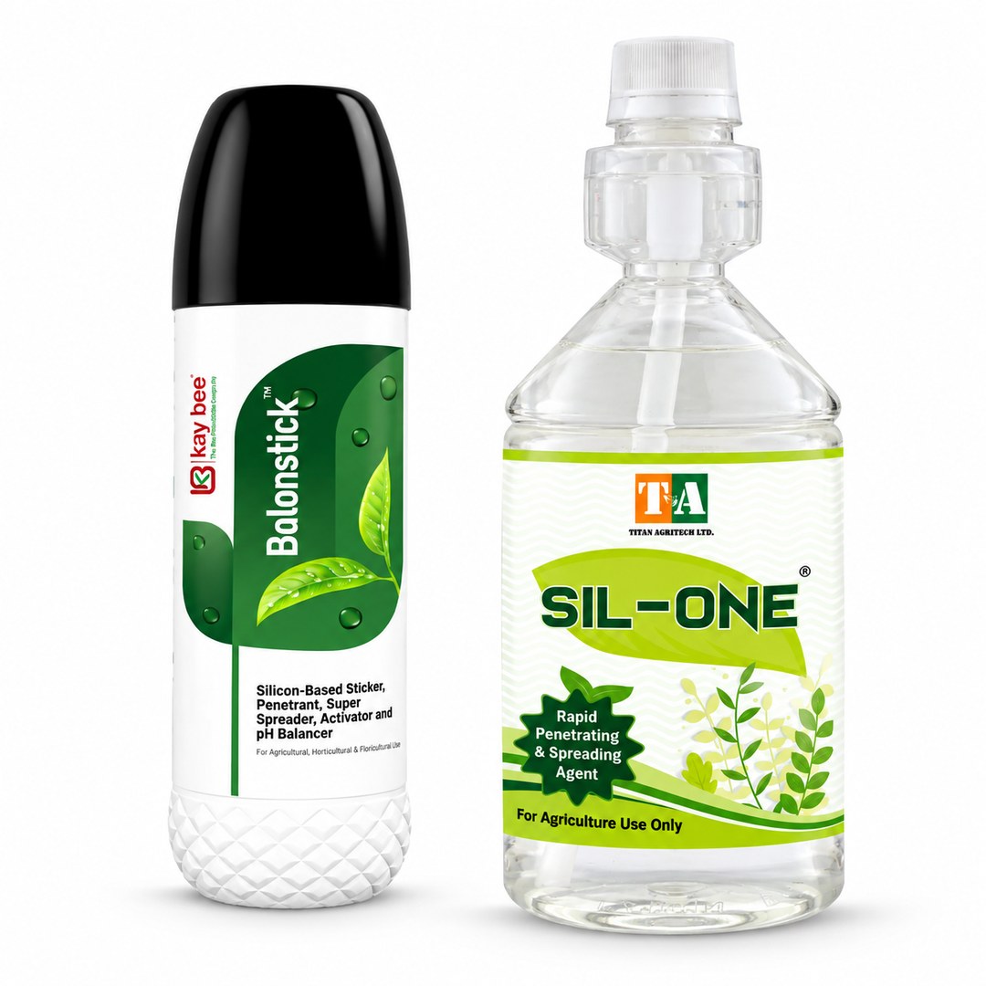 Silicon Spreader