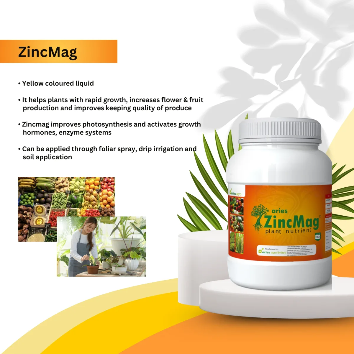 ZINC MAG