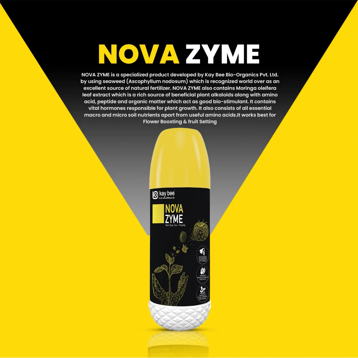 Kay Bee NOVA Zyme | Seaweed Extract Liquid Concentrate | Plant Growth Regulator for Gardens and Agriculture | Helps to Boost Flowering and Fruiting | Helps to Improve Tillering