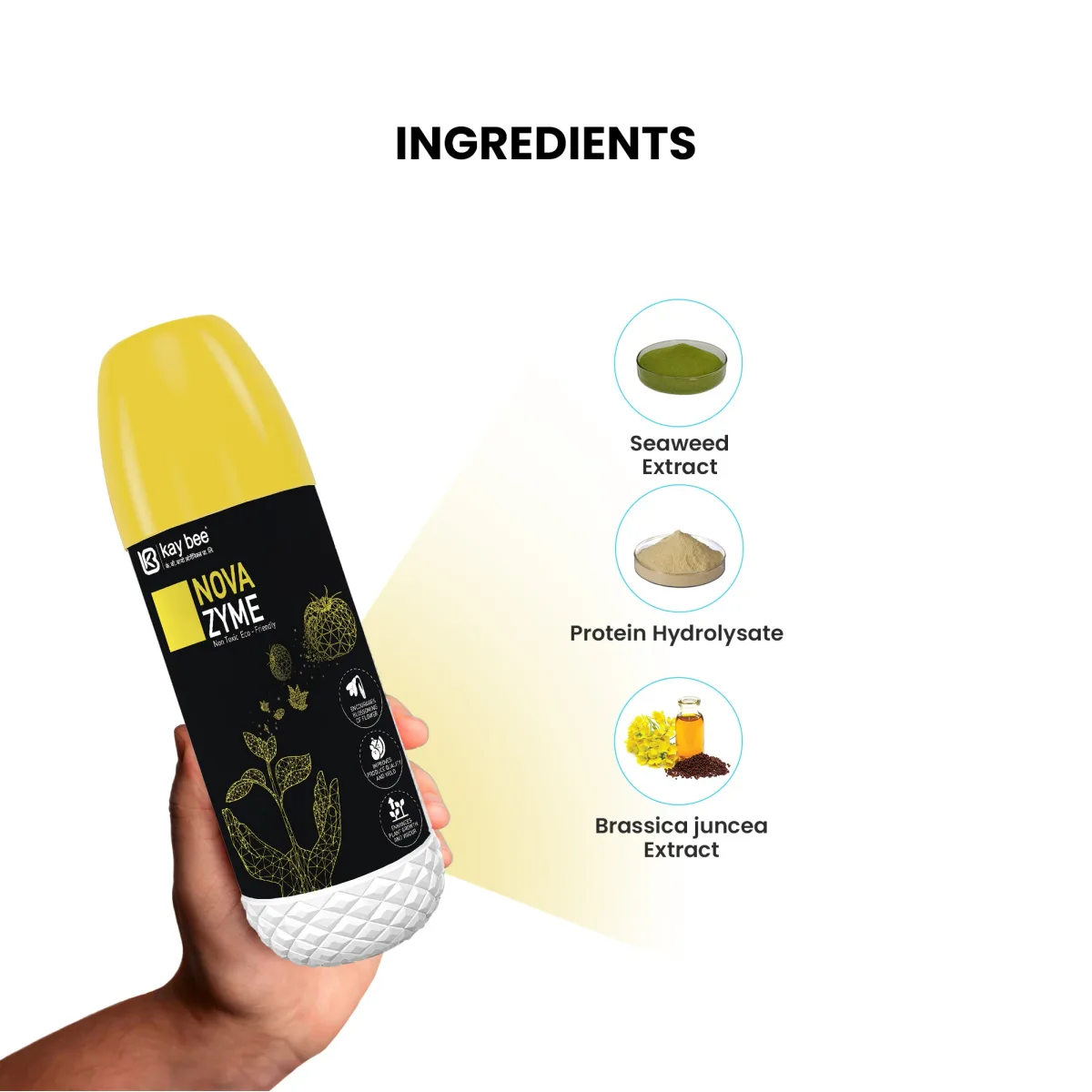 Kay Bee NOVA Zyme | Seaweed Extract Liquid Concentrate | Plant Growth Regulator for Gardens and Agriculture | Helps to Boost Flowering and Fruiting | Helps to Improve Tillering