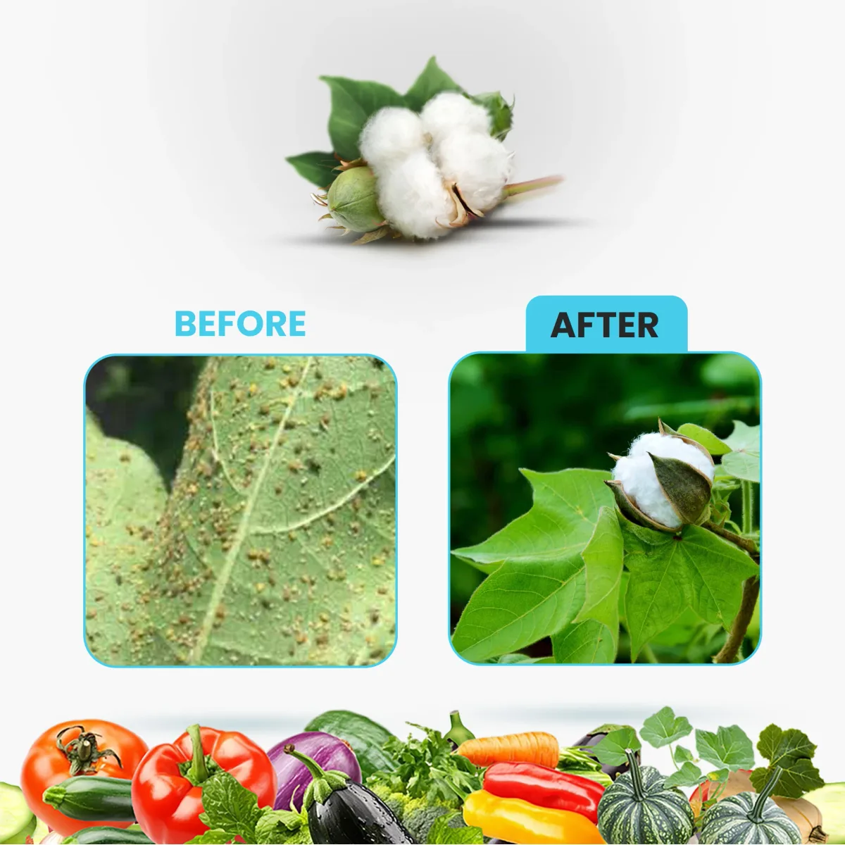 Kay Bee Organeem | Neem Based Biopesticides | Insecticide on Sucking Pests 3000 PPM