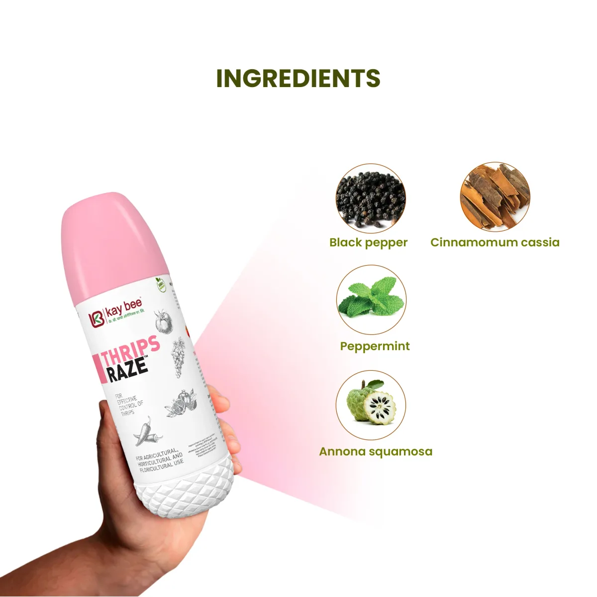 Kay Bee Thrips Raze | Bio Insect Control for Plants & Home Garden | Thrips Control for Plants and Organic Farming
