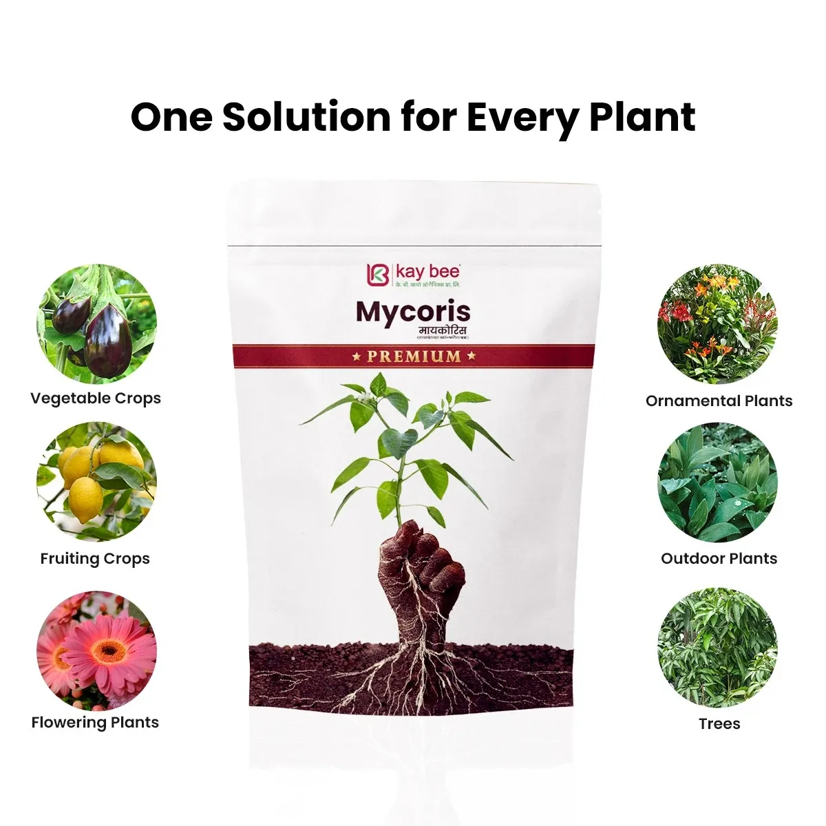 MYCORIS Premium VAM Mycorrhiza Bio Fertilizer | Enhances Root Growth, Nutrient Absorption & Soil Microbial Activity