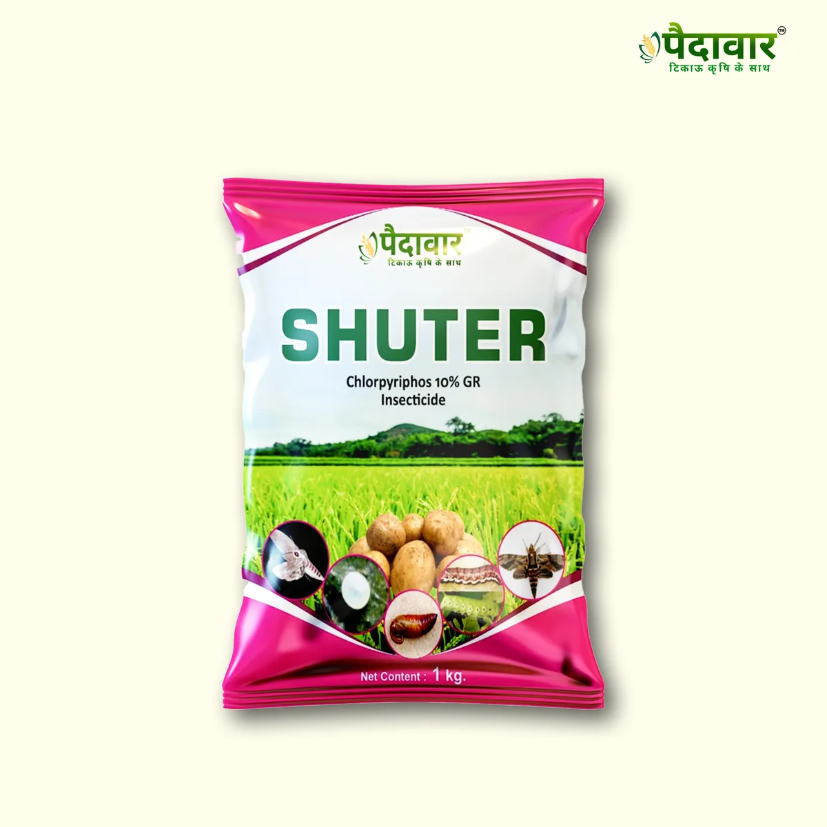 Paidavaar Shuter Insecticide - Chlorpyriphos 10% GR