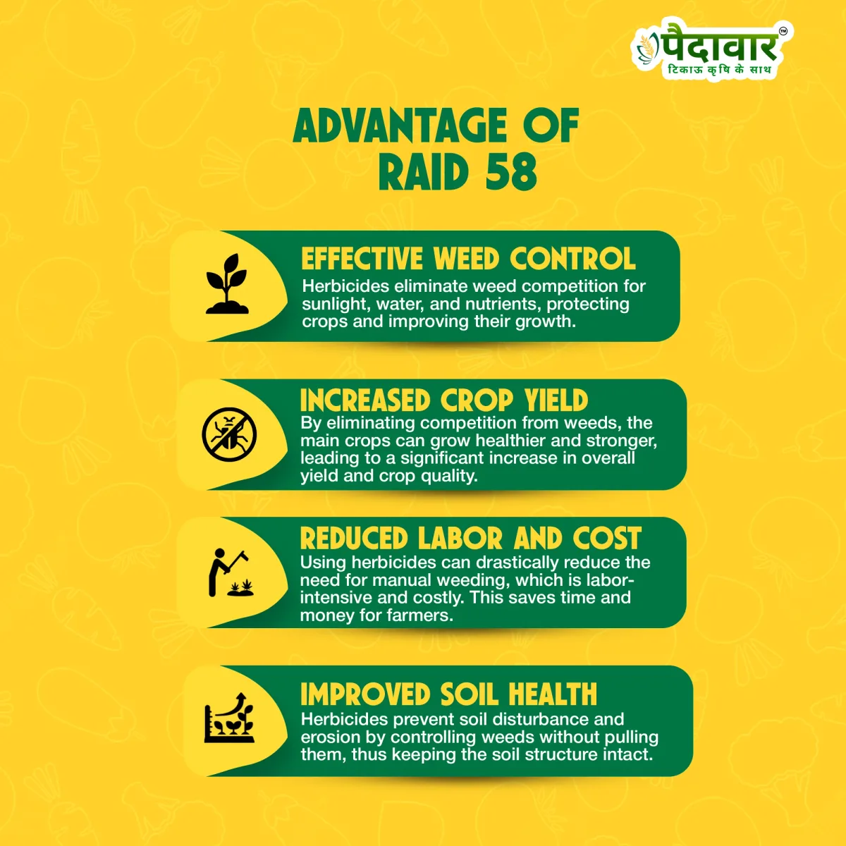 RAID 58 (2,4-D Amine Salt 58% SL)
