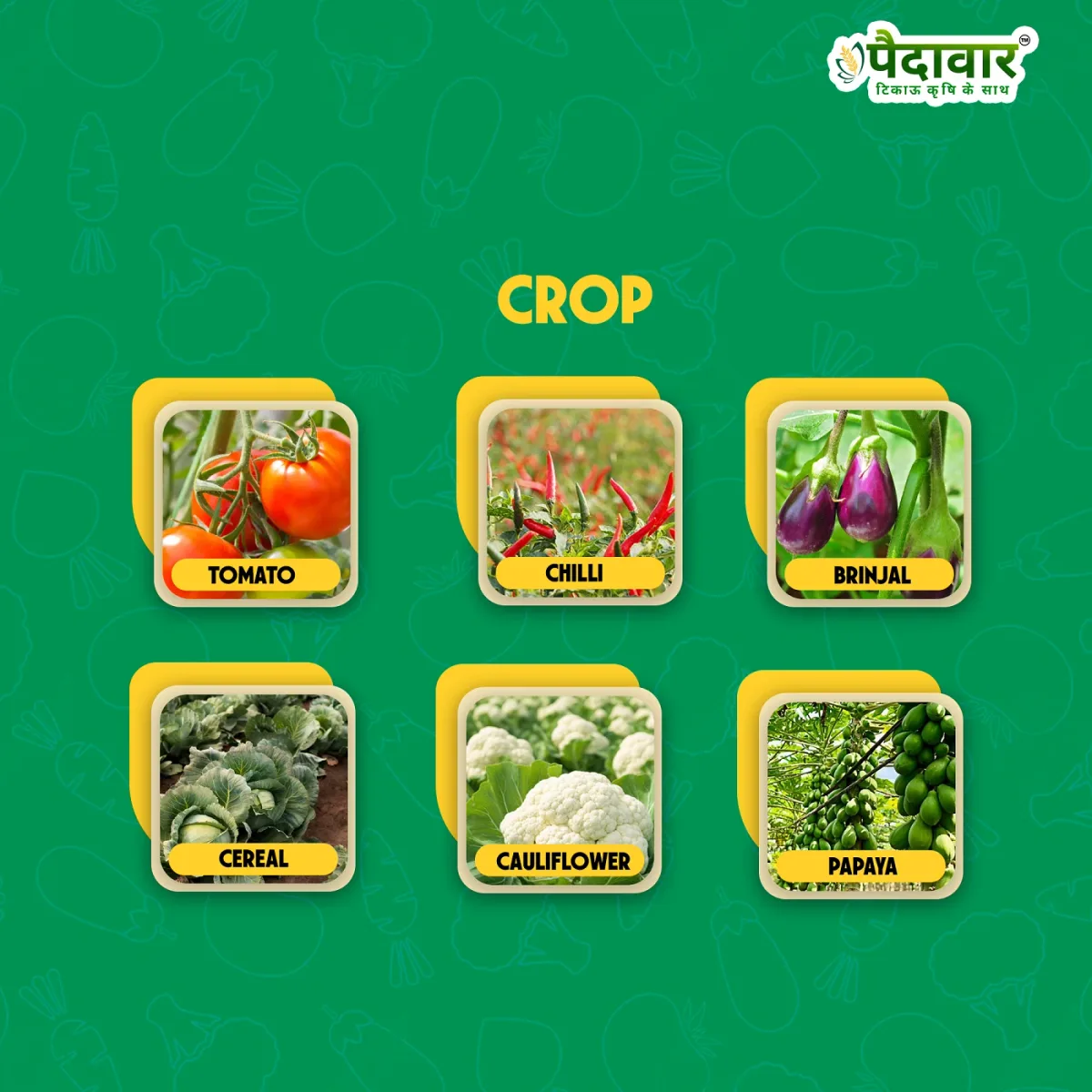 Paidavaar Zinc- High Multi Micronutrient Fertilizer