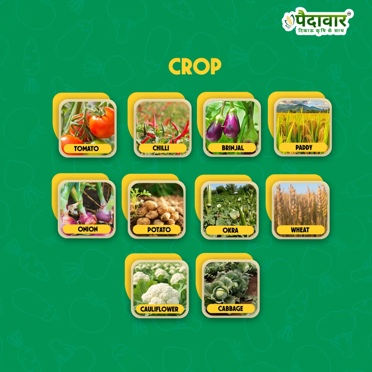 Pushp Shree (BROAD SPECTRUM BIO-BASED PLANT GROWTH)