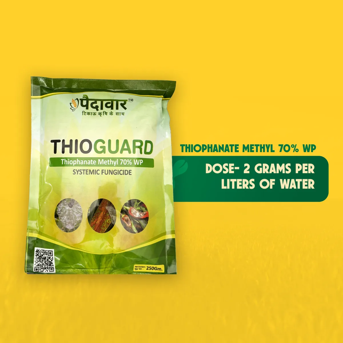 Paidavaar ThioGuard | Thiophanate Methyl 70% WP | Fungicide