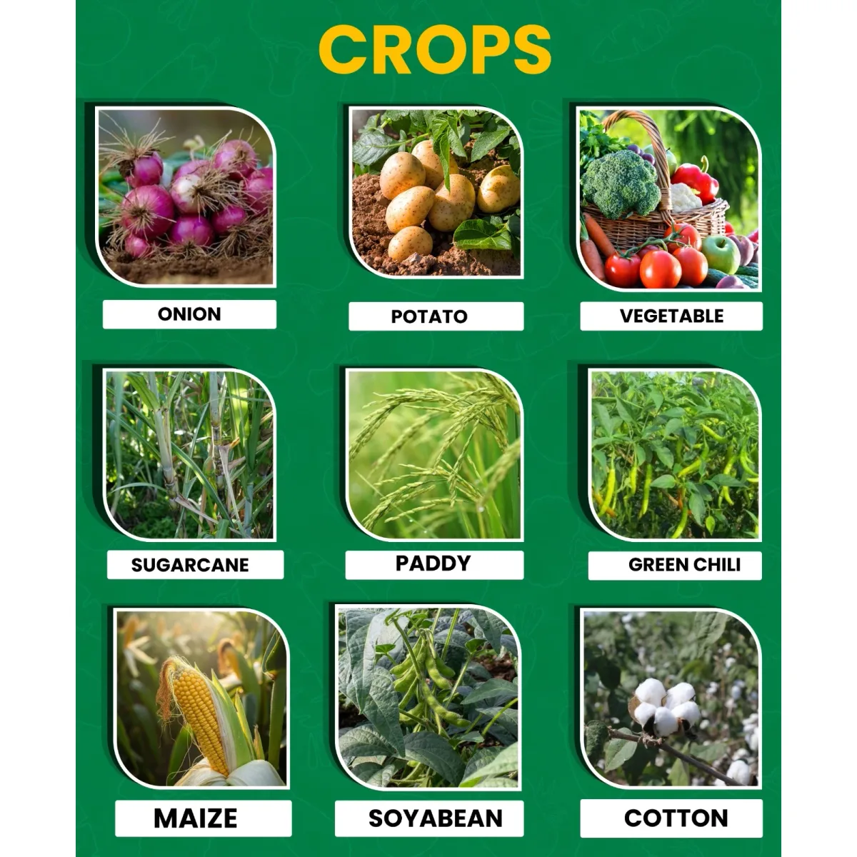 Paidavaar Hyzinc Zinc Sulphate (Zn 21% + S 10%) Micronutrient Fertilizer