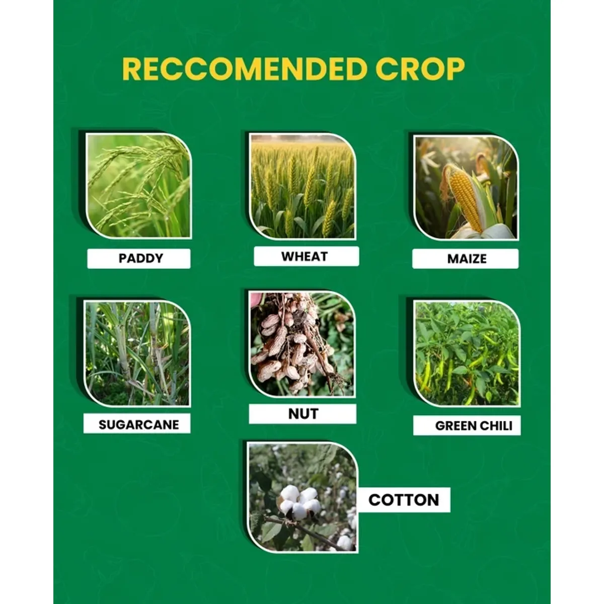 Paidavaar Dhamal Insecticide – Thiamethoxam 1.0% + Chlorantraniliprole 0.5% GR
