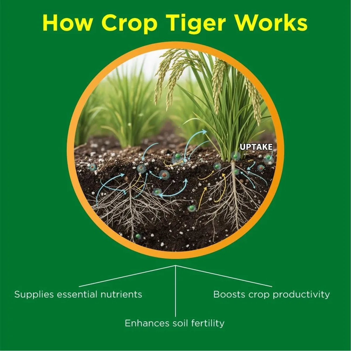 Titan Agritech Crop Tiger