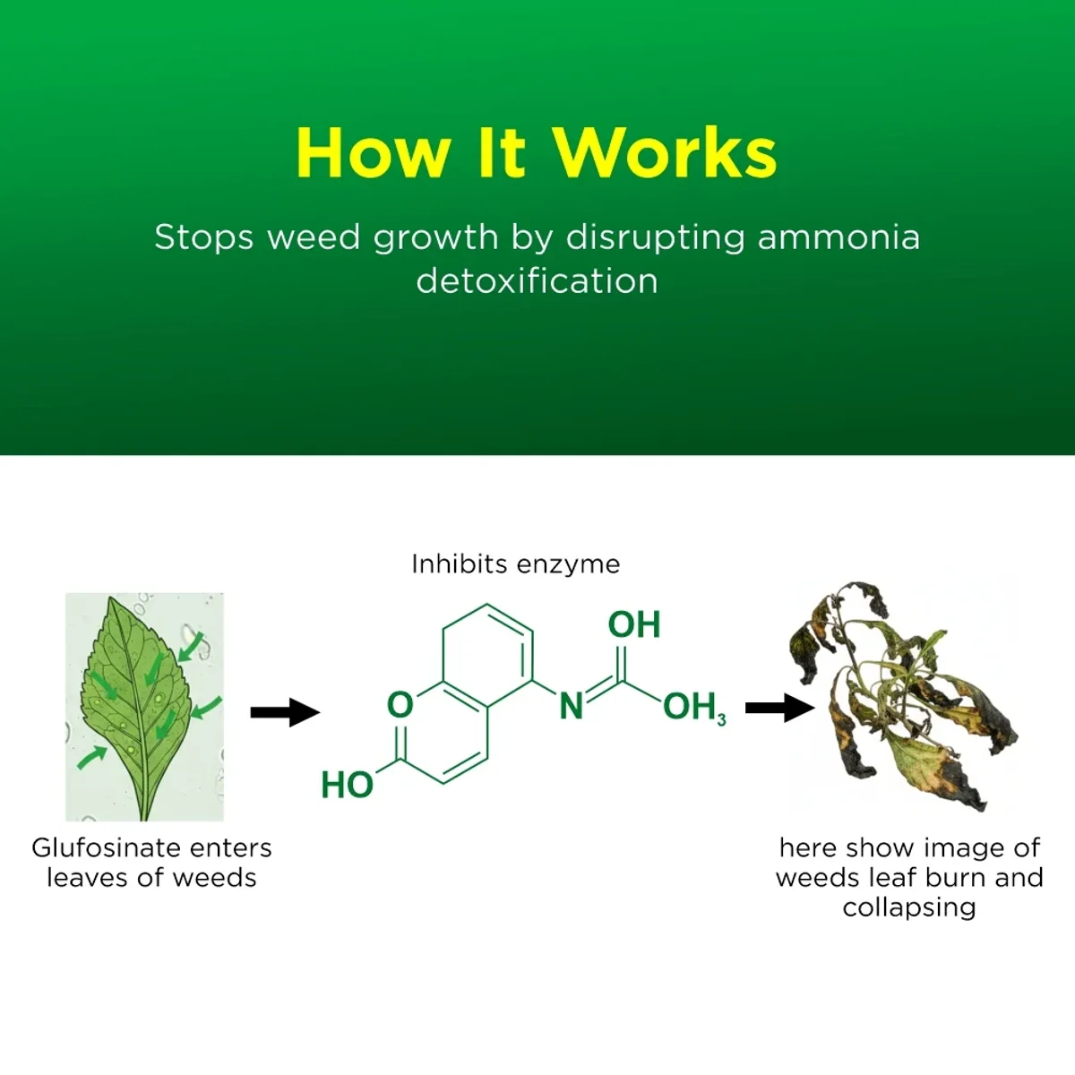 Titan Agritech Glufosinate ammonium 13.5% SL