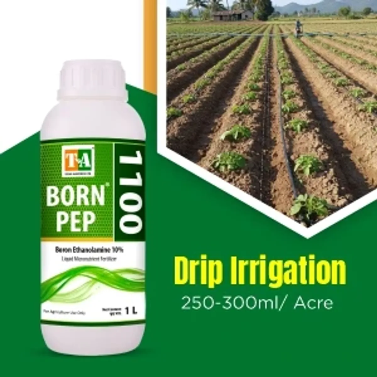 Titan Agritech Boron Ethanolamine 10%
