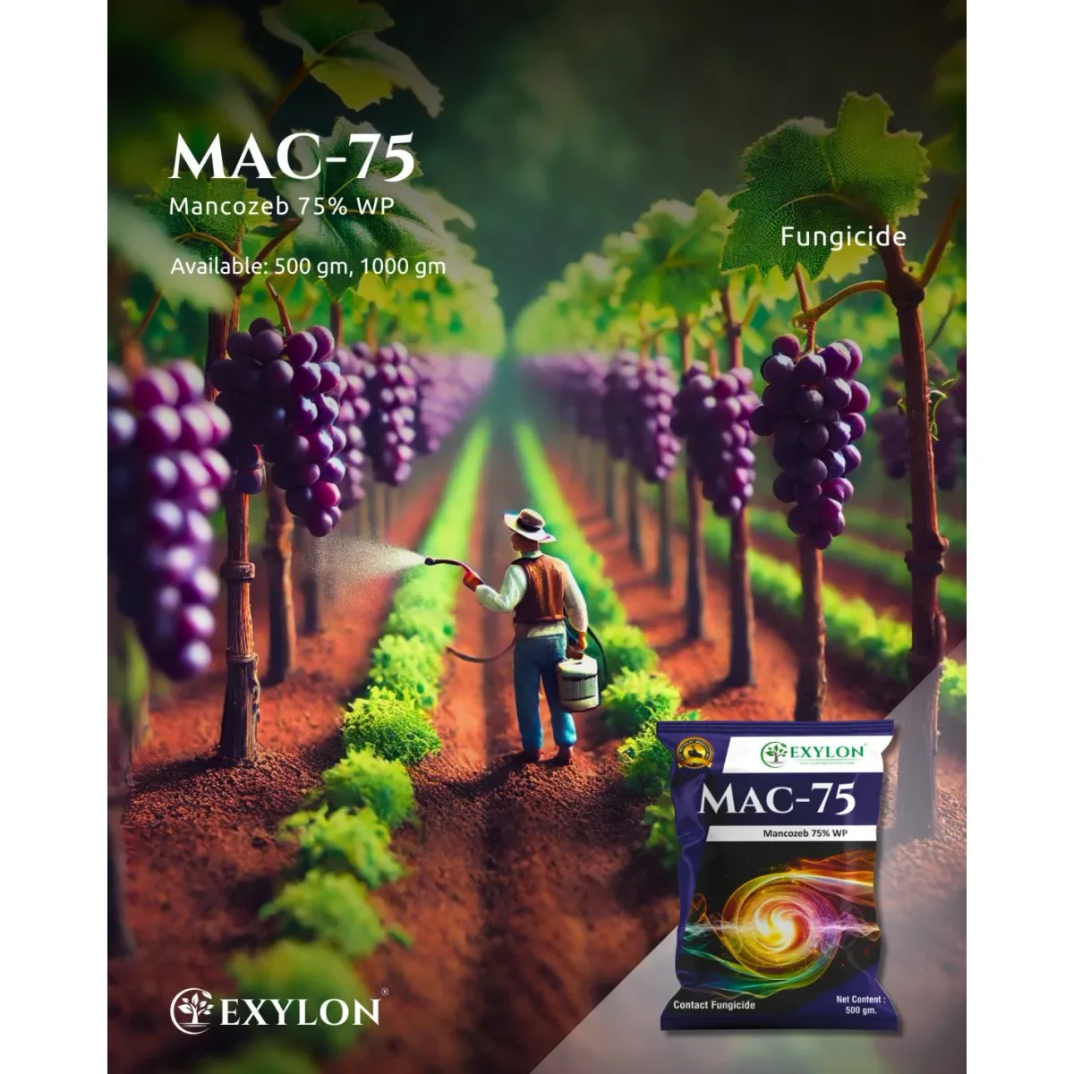 Exylon Mac 75 (Mancozeb 75% WP) – Effective Fungicide for Paddy, Wheat, Vegetables & more
