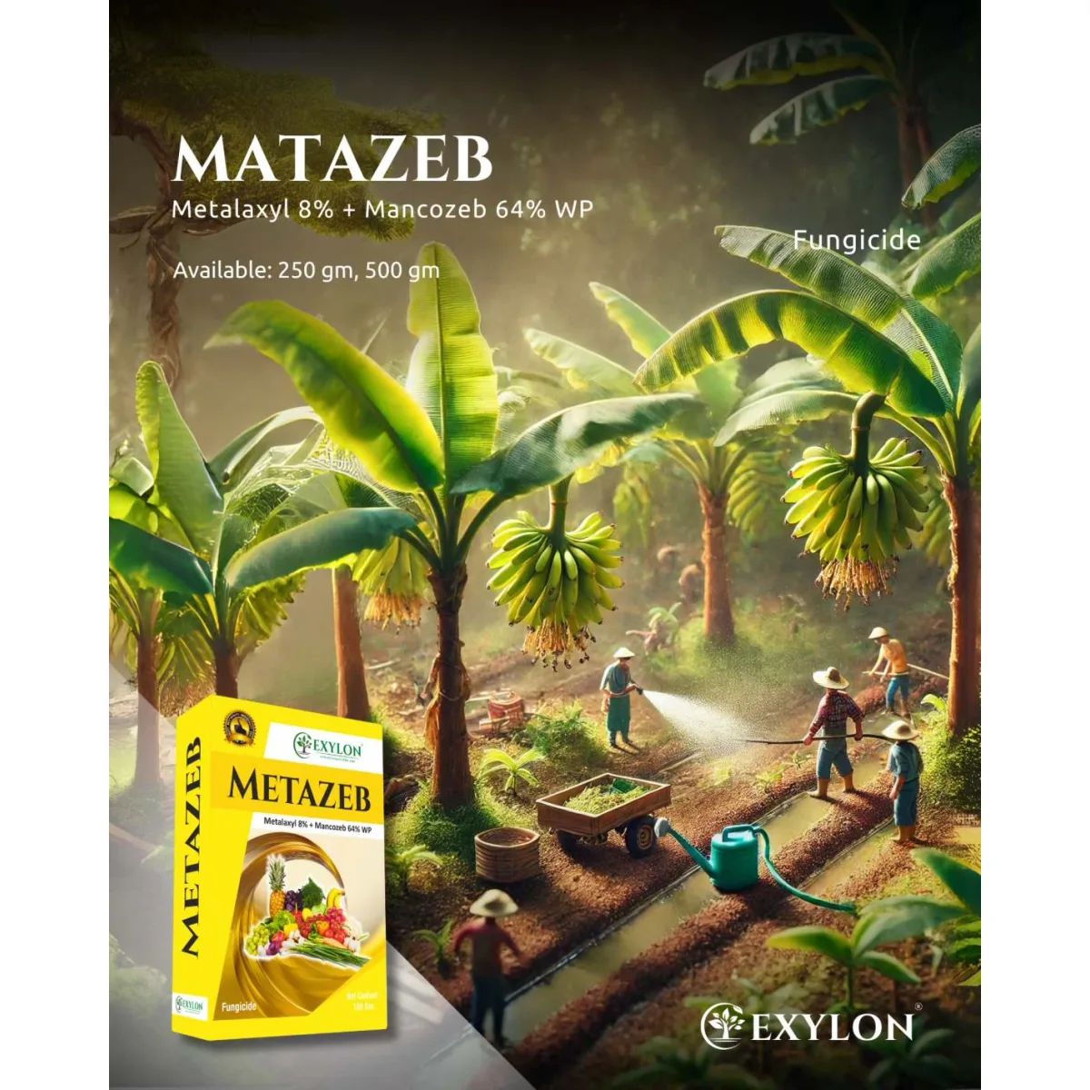 Exylon Metazeb (Metalaxyl 8% + Mancozeb 64% WP) – Effective Fungicide for Paddy, Wheat, Vegetables & more