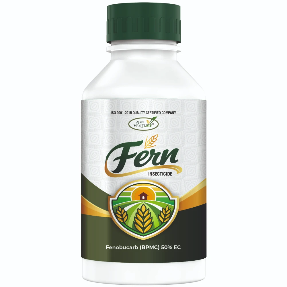AGRIVENTURE FERN