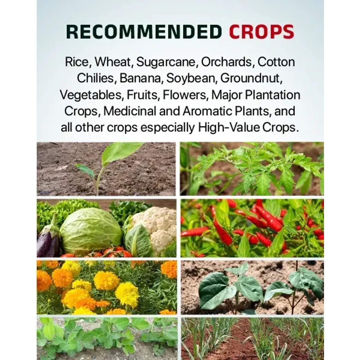 Agriventure Humitite (Humic 98% Acid) for Soil Health & Plant Growth