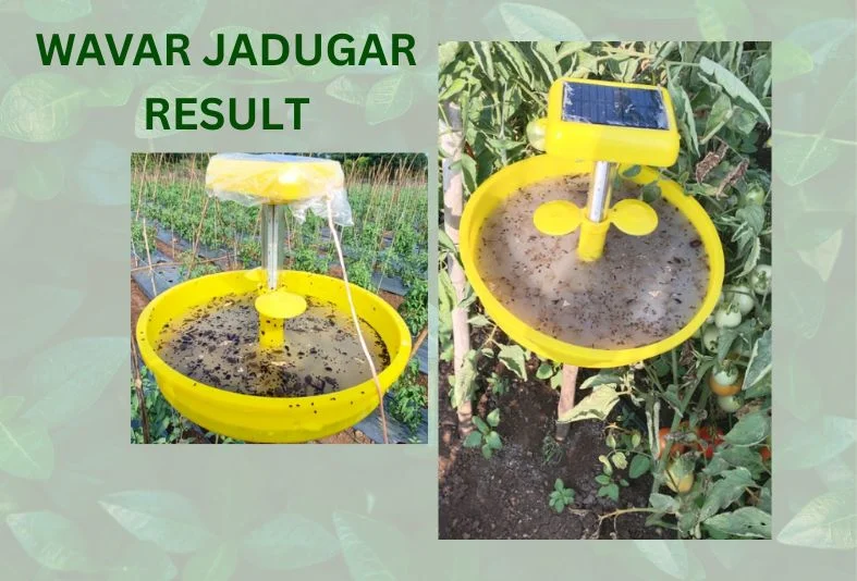 Wavar Jadugar Mini Solar Insect Trap