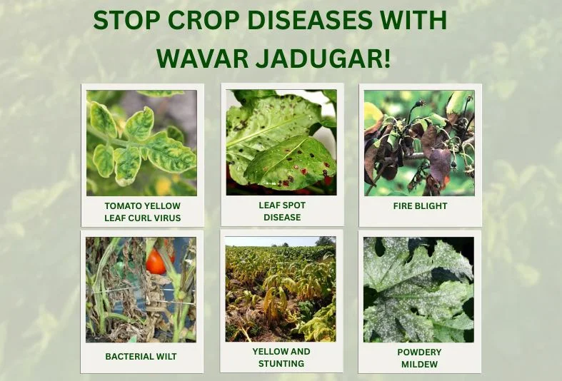 Wavar Jadugar Mini Solar Insect Trap